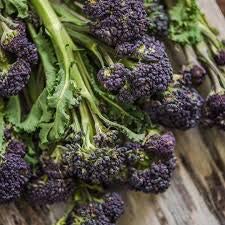 Purple Sprouting Broccoli - 12 x Plant Pack - AcquaGarden