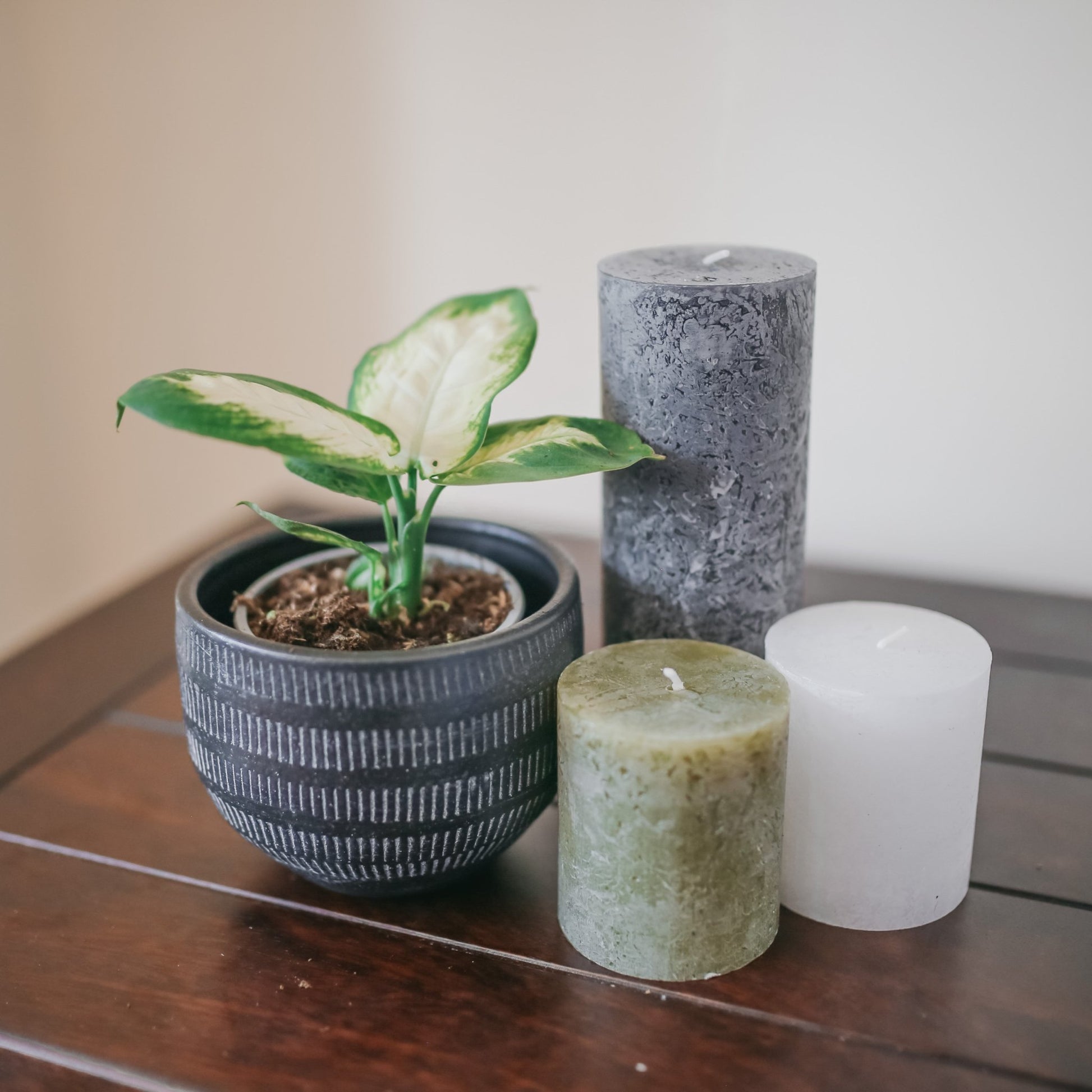 Rustic Pillar Candle - Pure White - 2 x Candle Pack (80mm x 68mm) - AcquaGarden