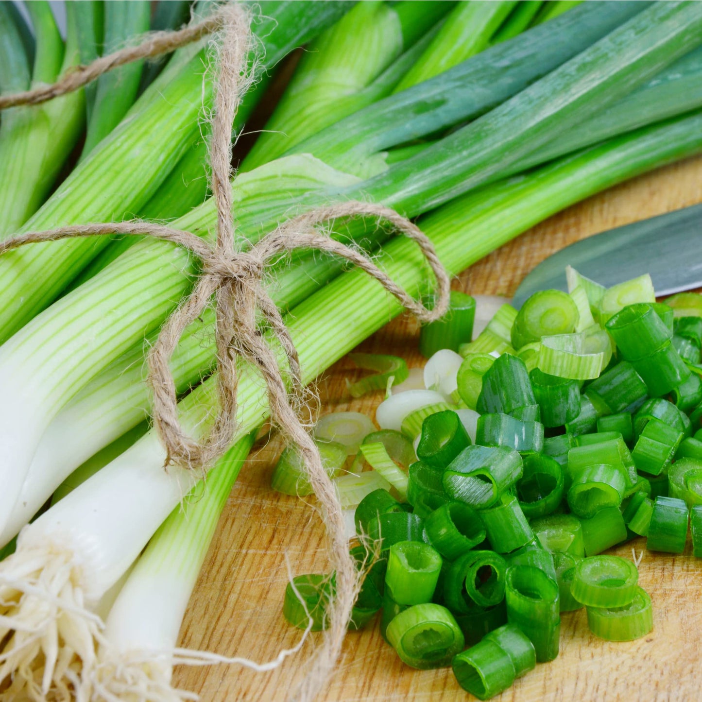 Salad Plants - Salad Onion - 'Starlight' - 6 x Plug Plant Pack - AcquaGarden