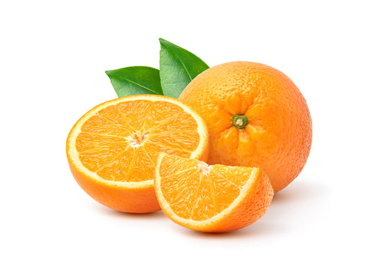 Citrus Tree - Orange - 1 x Large Plant in 5L Pot (90-110cm)