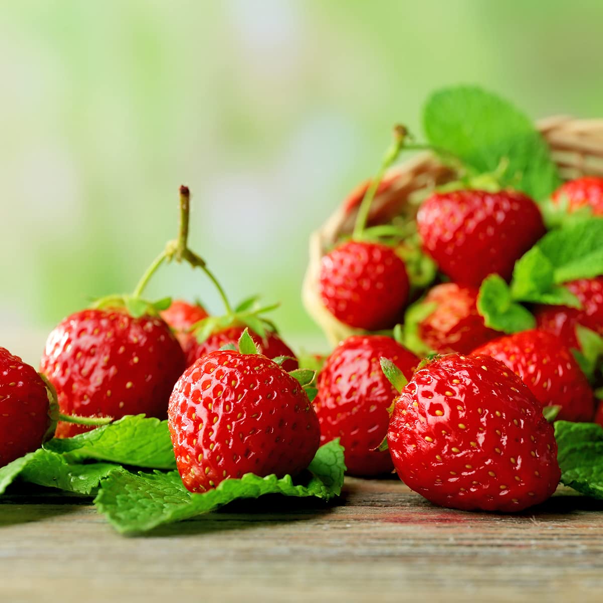 Strawberry Plants - 'Sweetheart' - 5 x Full Plants in 9cm Pots - AcquaGarden