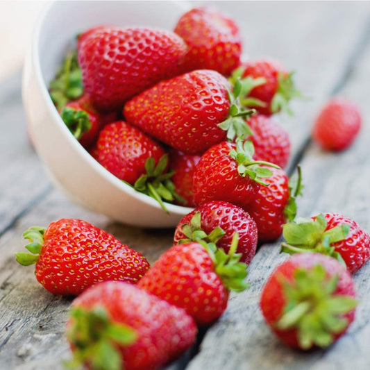 Strawberry 'Temptation' - 6 x Plant Pack - AcquaGarden