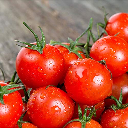 Tomato and Cucumber Combo Pack - 6 x Full Plants in 9cm Pots