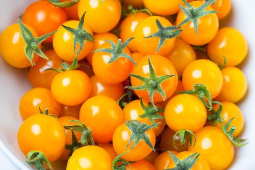 Tomato 'F1 Honeycombe' - 6 x Plant Pack - AcquaGarden