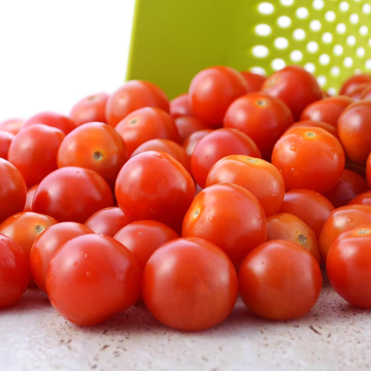 Tomato 'Gardeners Delight' - 18 x Plug Plant Pack - AcquaGarden