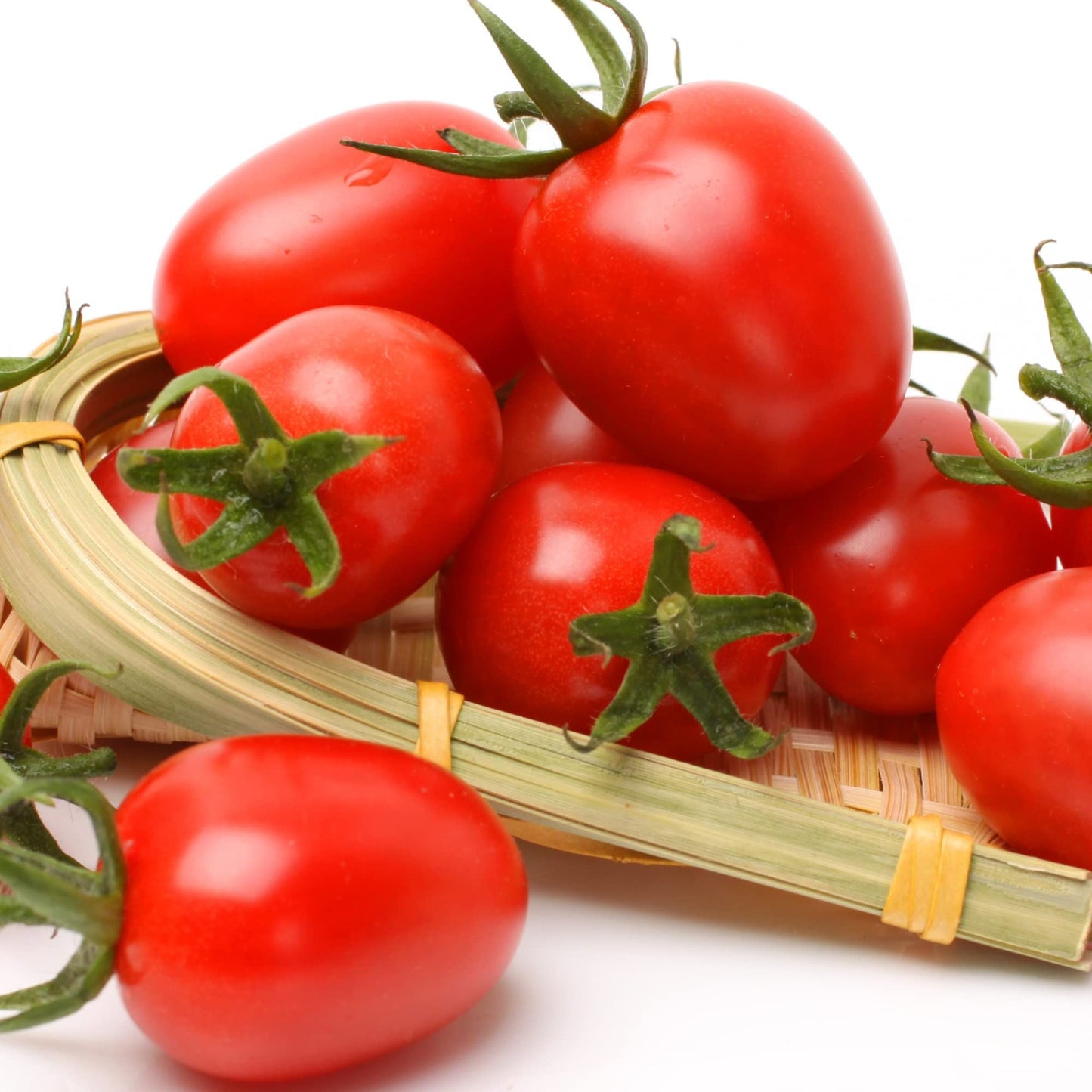 Tomato Plants - 'Plum Roma' - 6 x Plug Plant Pack - AcquaGarden