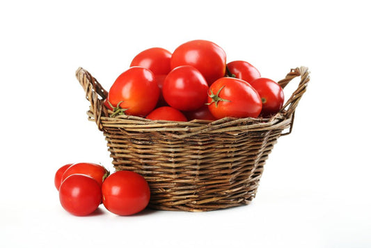 Tomato Plants - 'Sweet Million' - 6 x Plug Plant Pack - AcquaGarden