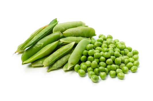 Vegetable Plants - Peas 'Petit Pois' - Full Plant Pack - AcquaGarden
